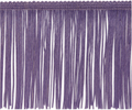 FRINGE