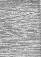 Faux Bois Wood