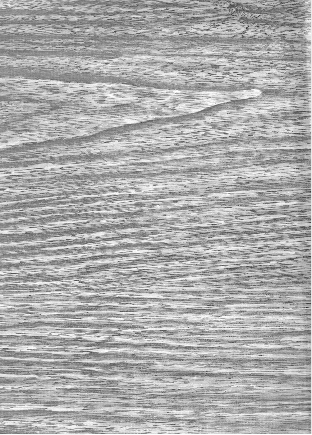 Oilcloth
