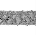 Sequin Trim